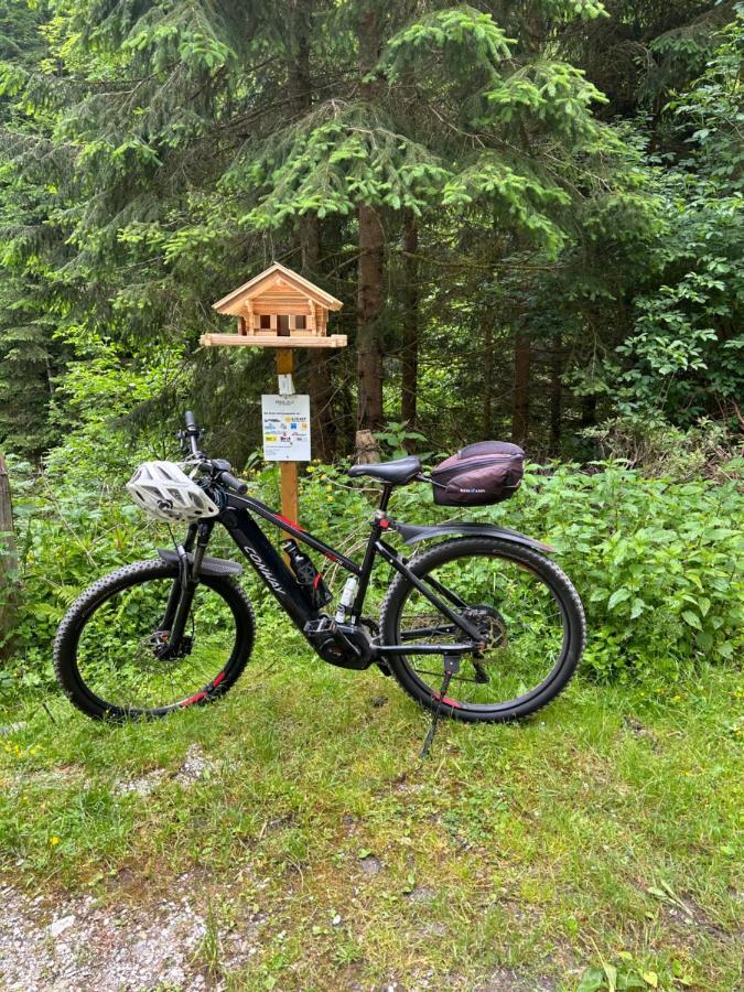 Apartament Haus Laubreuter Kaprun Zewnętrze zdjęcie