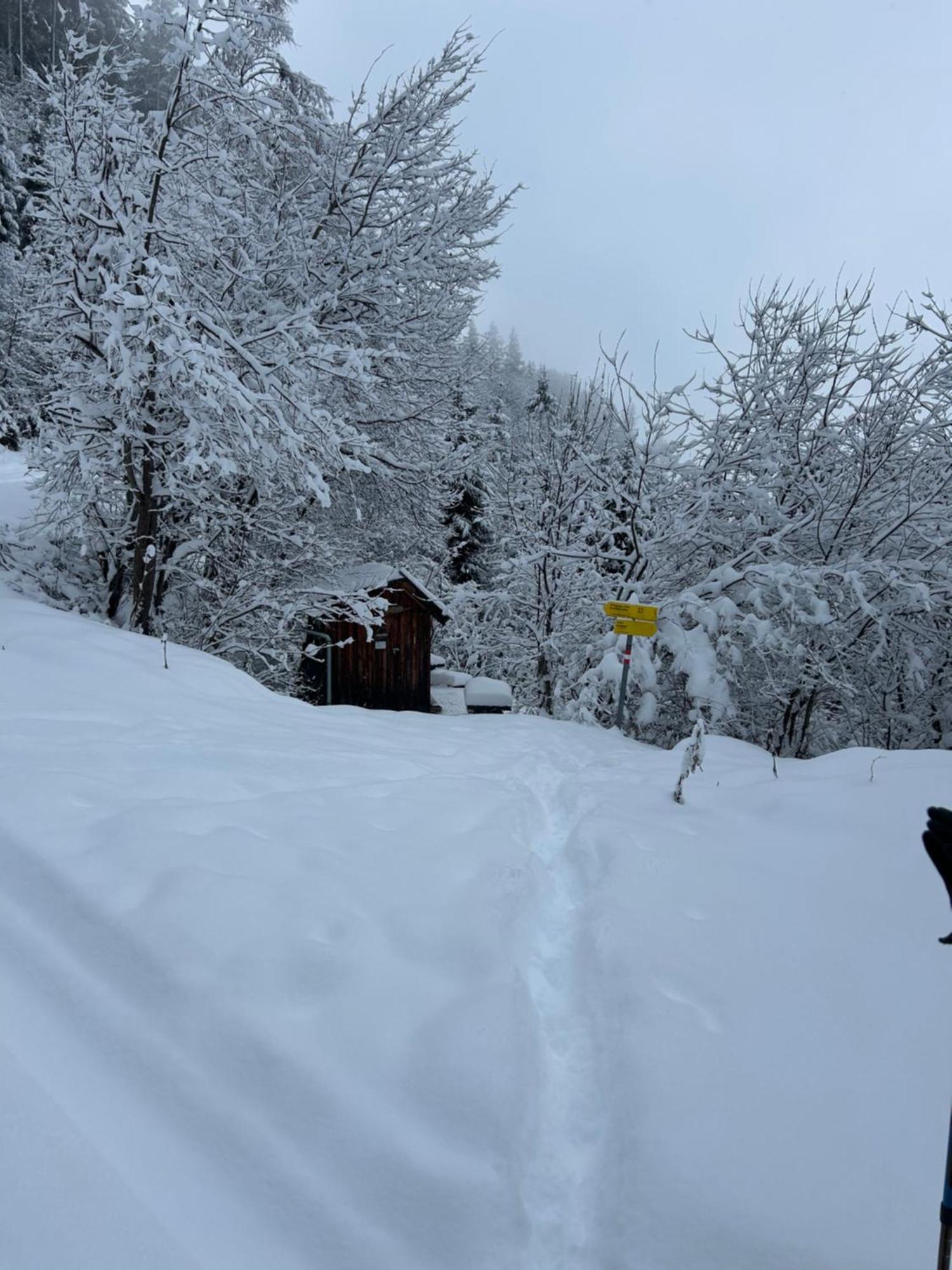 Apartament Haus Laubreuter Kaprun Zewnętrze zdjęcie
